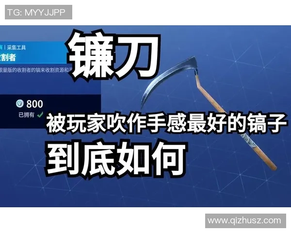 职业选手背包管理秘籍：如何在堡垒之夜中选择决胜圈的最佳物资