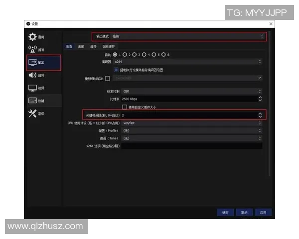深入探讨CS2观战系统与直播推流技术的创新与应用