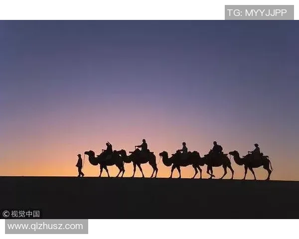 中欧关系的多维挑战与持久合作的探索之路